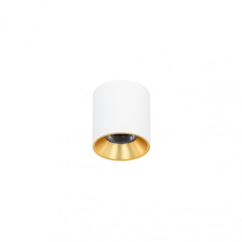 Italux Altisma white ceiling lamp