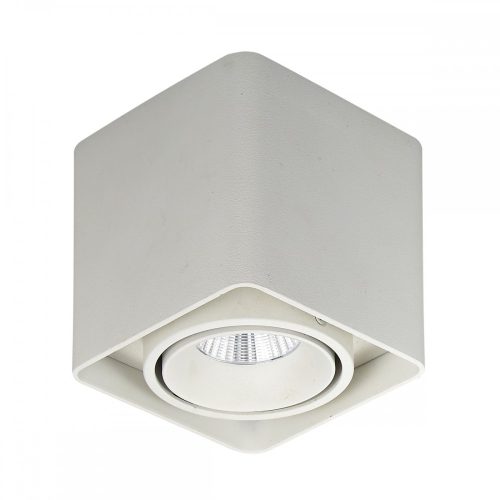 Italux Bonnie white ceiling lamp