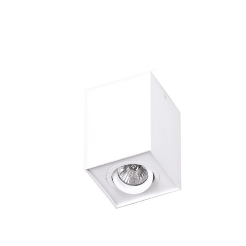 Maxlight BASIC SQUARE white ceiling lamp